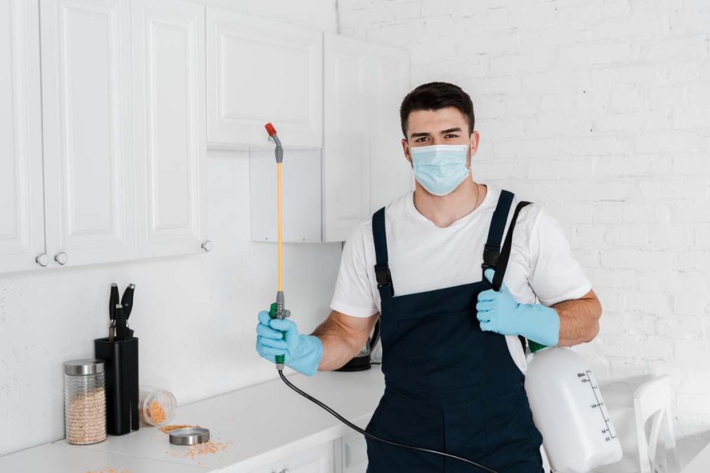 exterminator holding toxic spray near table with jars in kitchen