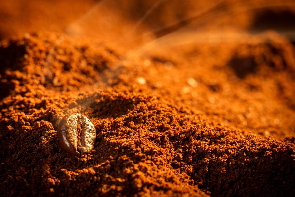 Closeup one coffee beans